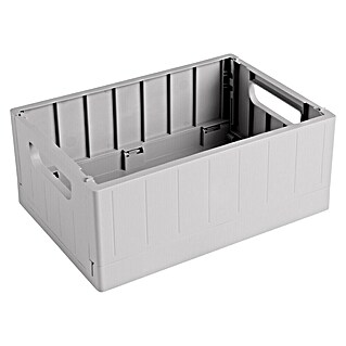 Sunware Sigma home Klappbox (L x B x H: 25 x 17,5 x 10,5 cm, Grau)