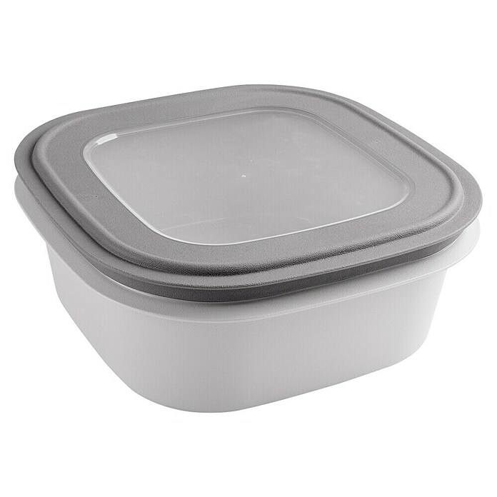 Sunware Sigma home Frischhaltedose (L x B x H: 23 x 23 x 9 cm, Grau, 2,8 l) | BAUHAUS