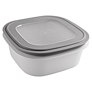 Sunware Sigma home Frischhaltedose (L x B x H: 23 x 23 x 9 cm, Grau, 2,8 l)