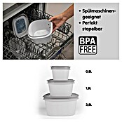 Sunware Sigma home Frischhaltedose (L x B x H: 23 x 23 x 9 cm, Grau, 2,8 l) | BAUHAUS