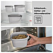 Sunware Sigma home Frischhaltedose (L x B x H: 23 x 23 x 9 cm, Grau, 2,8 l) | BAUHAUS