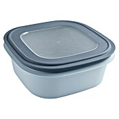 Sunware Sigma home Frischhaltedose (L x B x H: 23 x 23 x 9 cm, Blau, 2,8 l) | BAUHAUS