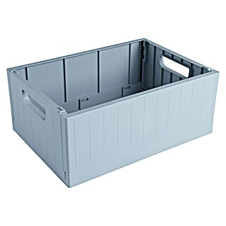 Sunware Sigma home Klappbox (L x B x H: 35 x 25 x 14,5 cm, Blau)
