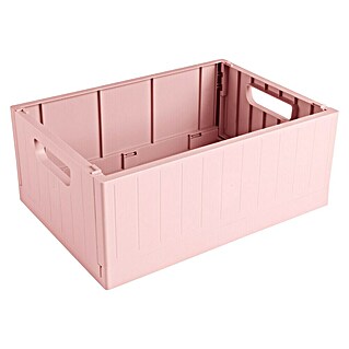 Sunware Sigma home Klappbox (L x B x H: 35 x 25 x 14,5 cm, Rosa)