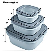 Sunware Sigma home Frischhaltedose (L x B x H: 23 x 23 x 12,4 cm, Blau, 3,8 l) | BAUHAUS