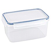 Sunware Frischhaltedose Basic (L x B x H: 22 x 15,6 x 11 cm, Transpatent) | BAUHAUS
