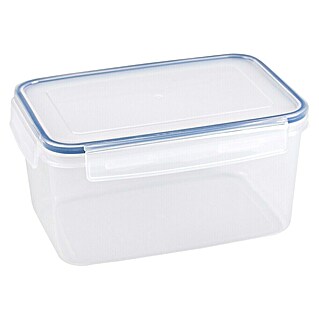 Sunware Frischhaltedose Basic (L x B x H: 22 x 15,6 x 11 cm, Transpatent)
