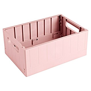 Sunware Sigma home Klappbox (L x B x H: 25 x 17,5 x 10,5 cm, Rosa)