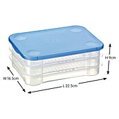 Sunware Frischhaltedose Club Cuisine (L x B x H: 22,5 x 16,5 x 9 cm) | BAUHAUS