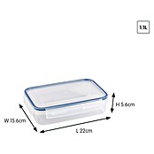 Sunware Frischhaltedose Basic (L x B x H: 22 x 15,6 x 5,6 cm, Transpatent) | BAUHAUS