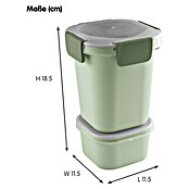 Sunware Sigma home Lunchbox Food to go (L x B x H: 11,5 x 11,5 x 18,5 cm) | BAUHAUS