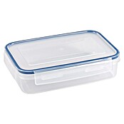 Sunware Frischhaltedose Basic (L x B x H: 22 x 15,6 x 5,6 cm, Transpatent) | BAUHAUS