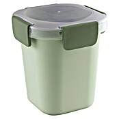 Sunware Sigma home Lunchbox Food to go (L x B x H: 11,5 x 11,5 x 18,5 cm) | BAUHAUS