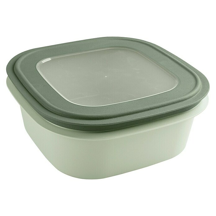 Sunware Sigma home Frischhaltedose (L x B x H: 23 x 23 x 9 cm, Grün, 2,8 l) | BAUHAUS