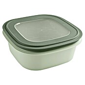 Sunware Sigma home Frischhaltedose (L x B x H: 23 x 23 x 9 cm, Grün, 2,8 l) | BAUHAUS