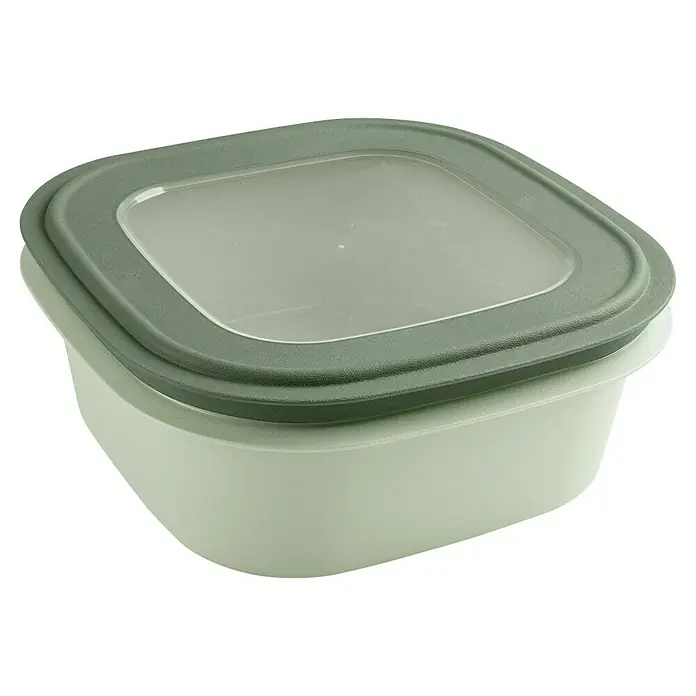 Sunware Sigma home Frischhaltedose - L x B x H: 23 x 23 x 9 cm, Grün, 2,8 l - Ein hellgrüner, quadratischer Vorratsbehälter mit einem graugrünen Deckel, ideal für die Aufbewahrung von Lebensmitteln.