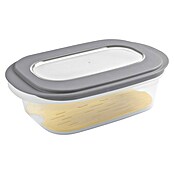 Sunware Frischhaltedose für Käse (L x B x H: 26 x 17,2 x 8 cm, Transparent, Farbe Deckel: Grau) | BAUHAUS