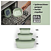 Sunware Sigma home Frischhaltedose (L x B x H: 23 x 23 x 12,4 cm, Grün, 3,8 l) | BAUHAUS