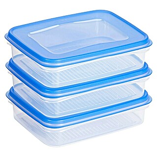 Sunware Gefrierdose Club Cuisine (0,7 l, L x B x H: 17,5 x 14 x 4,4 cm, Farbe Deckel: Blau)