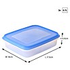 Sunware Gefrierdose Club Cuisine (0,7 l, L x B x H: 17,5 x 14 x 4,4 cm, Farbe Deckel: Blau) | BAUHAUS