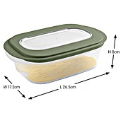 Sunware Frischhaltedose für Käse (L x B x H: 26 x 17,2 x 8 cm, Transparent, Farbe Deckel: Grün) | BAUHAUS
