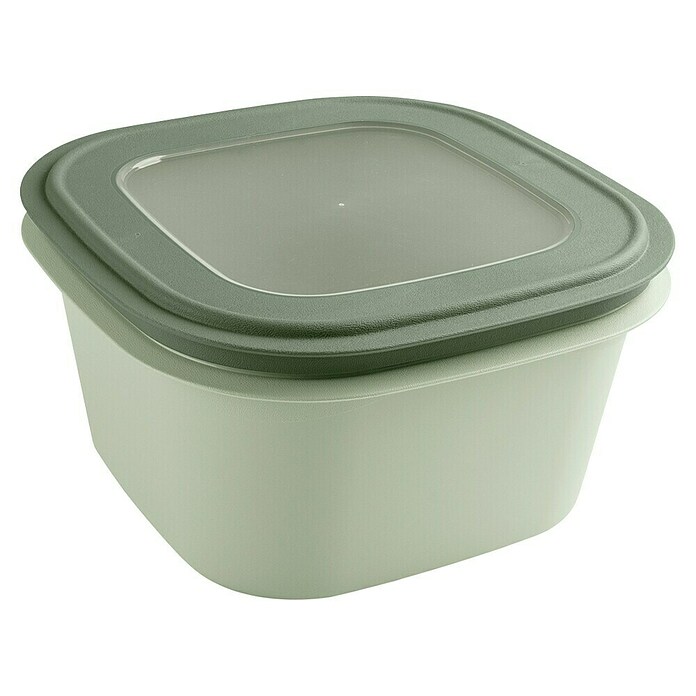 Sunware Sigma home Frischhaltedose (L x B x H: 23 x 23 x 12,4 cm, Grün, 3,8 l) | BAUHAUS