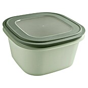 Sunware Sigma home Frischhaltedose (L x B x H: 23 x 23 x 12,4 cm, Grün, 3,8 l) | BAUHAUS
