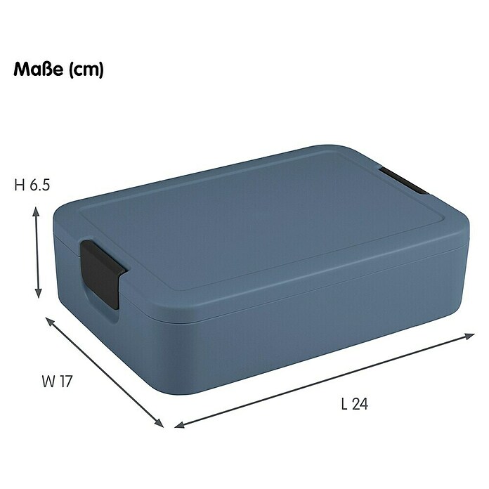 Sunware Sigma home Lunchbox Food to go (L x B x H: 24 x 17 x 6,5 cm, Blau) | BAUHAUS