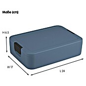 Sunware Sigma home Lunchbox Food to go (L x B x H: 24 x 17 x 6,5 cm, Blau) | BAUHAUS