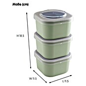 Sunware Sigma home Lunchbox Food to go (L x B x H: 11,5 cm x 11,5 cm x 18,5 mm, Grün) | BAUHAUS