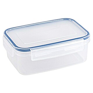 Sunware Frischhaltedose Basic (L x B x H: 18,5 x 13 x 7 cm, Transpatent)