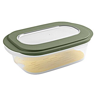 Sunware Frischhaltedose für Käse (L x B x H: 26 x 17,2 x 8 cm, Transparent, Farbe Deckel: Grün)