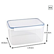Sunware Frischhaltedose Basic (L x B x H: 31,2 x 22 x 16,4 cm, Transpatent) | BAUHAUS