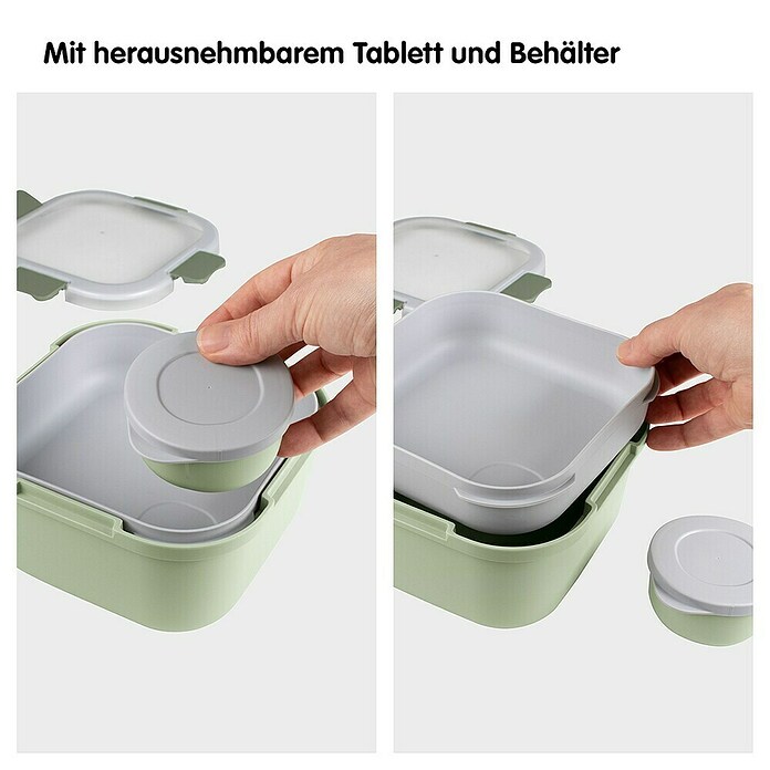 Sunware Sigma home Lunchbox Food to go (L x B x H: 17,7 x 17,7 x 8,7 cm) | BAUHAUS