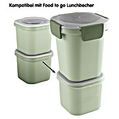 Sunware Sigma home Lunchbox Food to go (L x B x H: 9,3 x 9,3 x 16,7 cm, Farbe: Grün) | BAUHAUS
