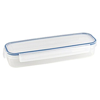 Sunware Frischhaltedose Basic (L x B x H: 31,2 x 11 x 5,6 cm, Transparent)