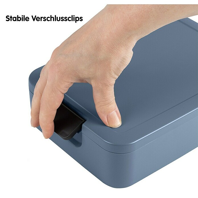 Sunware Sigma home Lunchbox Food to go (L x B x H: 24 x 17 x 6,5 cm, Blau) | BAUHAUS
