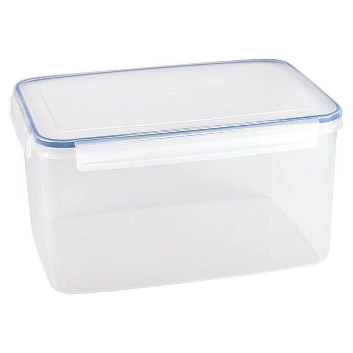 Sunware Frischhaltedose Basic (L x B x H: 31,2 x 22 x 16,4 cm, Transpatent) | BAUHAUS