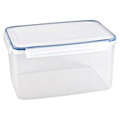 Sunware Frischhaltedose Basic (L x B x H: 31,2 x 22 x 16,4 cm, Transpatent) | BAUHAUS