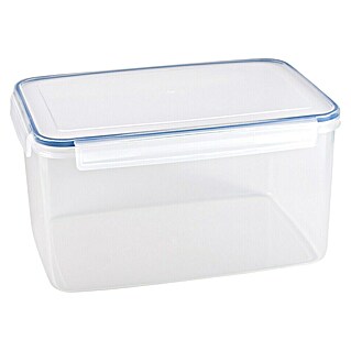 Sunware Frischhaltedose Basic (L x B x H: 31,2 x 22 x 16,4 cm, Transpatent)