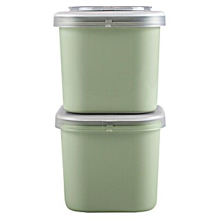 Sunware Sigma home Lunchbox Food to go (L x B x H: 9,3 x 9,3 x 16,7 cm, Farbe: Grün)