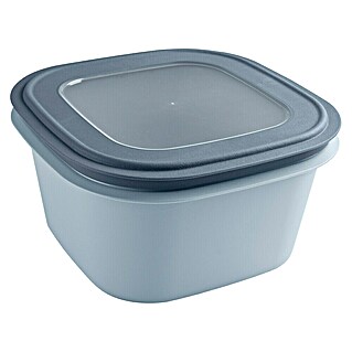 Sunware Sigma home Frischhaltedose (L x B x H: 23 x 23 x 12,4 cm, Blau, 3,8 l)
