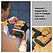 Sunware Sigma home Lunchbox Food to go (L x B x H: 24 x 17 x 6,5 cm, Anthrazit) | BAUHAUS