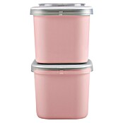 Sunware Sigma home Lunchbox Food to go (L x B x H: 9,3 x 9,3 x 16,7 cm, Farbe: Rosa) | BAUHAUS