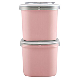 Sunware Sigma home Lunchbox Food to go (L x B x H: 9,3 x 9,3 x 16,7 cm, Farbe: Rosa)