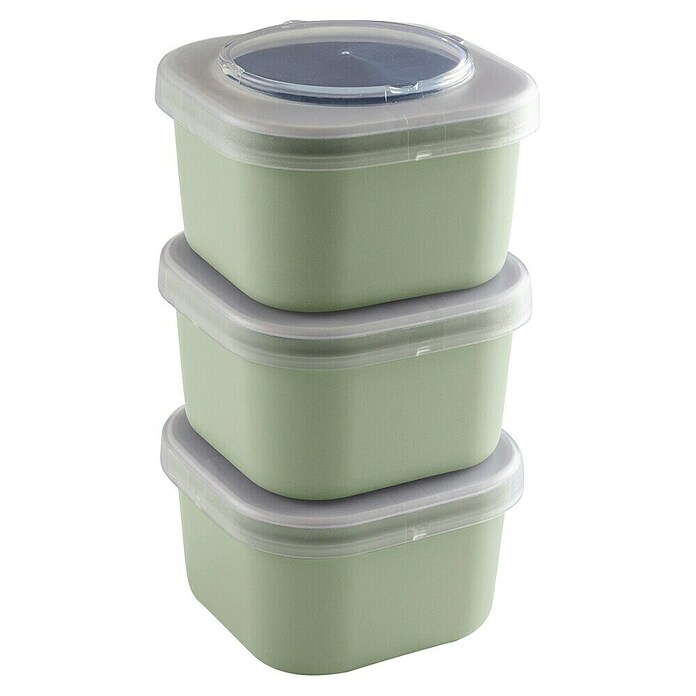 Sunware Sigma home Lunchbox Food to go (L x B x H: 11,5 cm x 11,5 cm x 18,5 mm, Grün) | BAUHAUS