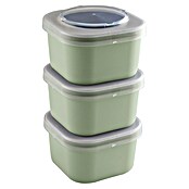 Sunware Sigma home Lunchbox Food to go (L x B x H: 11,5 cm x 11,5 cm x 18,5 mm, Grün) | BAUHAUS