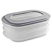 Sunware Frischhaltedose für Fleisch- und Wurstwaren (L x B x H: 17,2 x 17,2 x 10,5 cm, Transparent, Farbe Deckel: Grau) | BAUHAUS