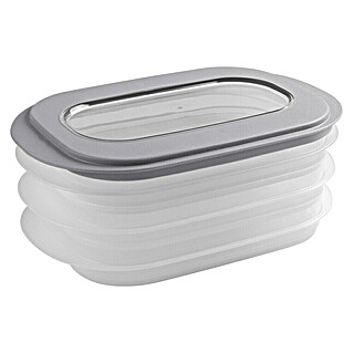 Sunware Frischhaltedose für Fleisch- und Wurstwaren (L x B x H: 17,2 x 17,2 x 10,5 cm, Transparent, Farbe Deckel: Grau)