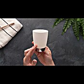 Venus Milano Kupaonska čaša  (Bijele boje, Plastika, Kromirano) | BAUHAUS